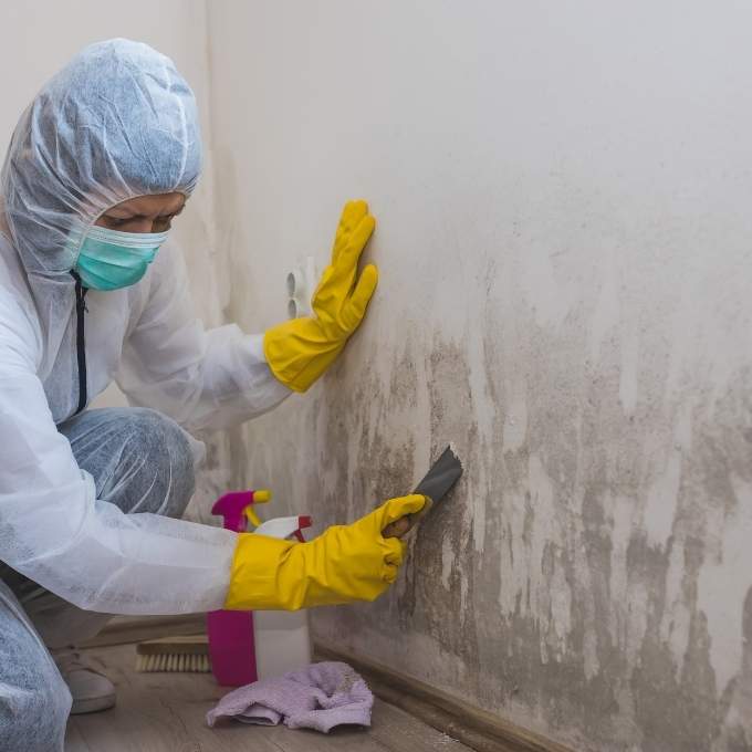 Mold Remediation In Kentucky	Near Me
